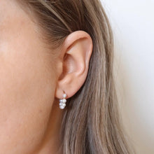 Load image into Gallery viewer, Lovebird Earrings