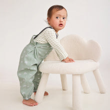 Load image into Gallery viewer, Splashy Overall | Sage Rainbow