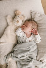 Load image into Gallery viewer, Buddy the Dog Hoochy Coochie