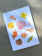 Load image into Gallery viewer, Illustrated Seashells | Greeting Card
