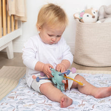 Load image into Gallery viewer, Pull String Interactive Toy | Dusty