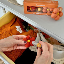 Load image into Gallery viewer, Felt Flower Fresheners | Flower Garden