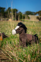 Load image into Gallery viewer, Thunder the Horse