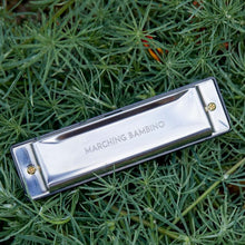 Load image into Gallery viewer, kids harmonica