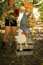 Load image into Gallery viewer, roy the rooster