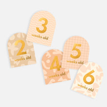 Load image into Gallery viewer, Baby Milestone Cards
