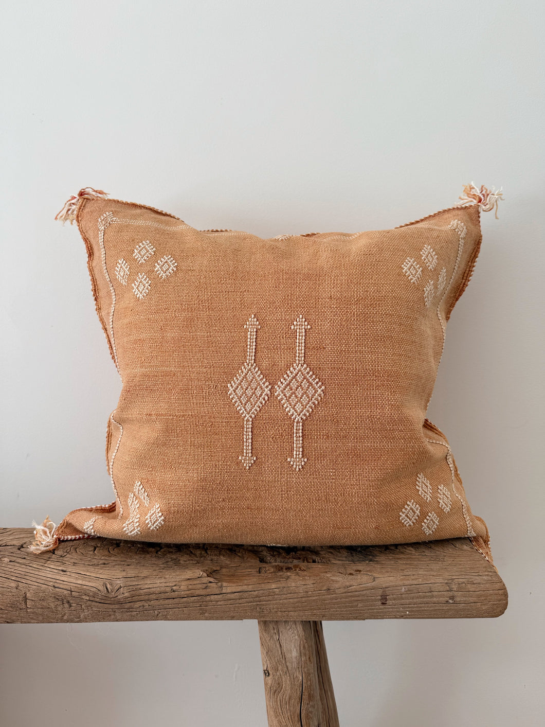 Cactus Silk Cushion Cover 50X50 | Orange Diamond