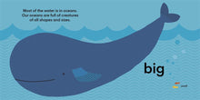 Load image into Gallery viewer, Eco Baby Oceans | Lorna Freytag
