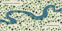 Load image into Gallery viewer, Eco Baby Rainforests | Lorna Freytag

