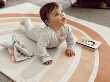 Load image into Gallery viewer, Luxe Rainbow Play Mat
