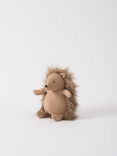 Load image into Gallery viewer, Ray The Hedgehog
